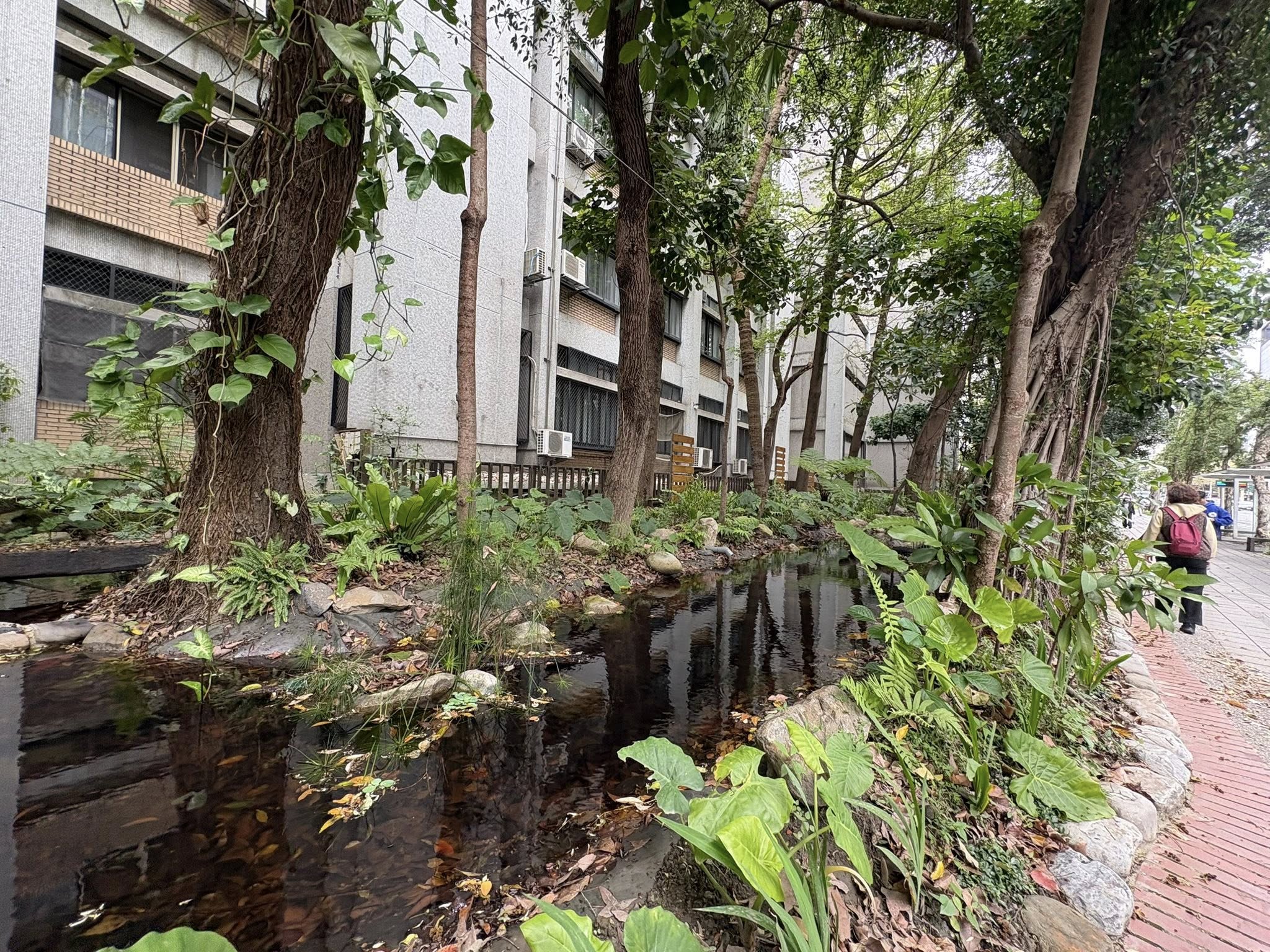 環校步道B